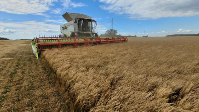Rising prices from low levels of production and variable growing conditions