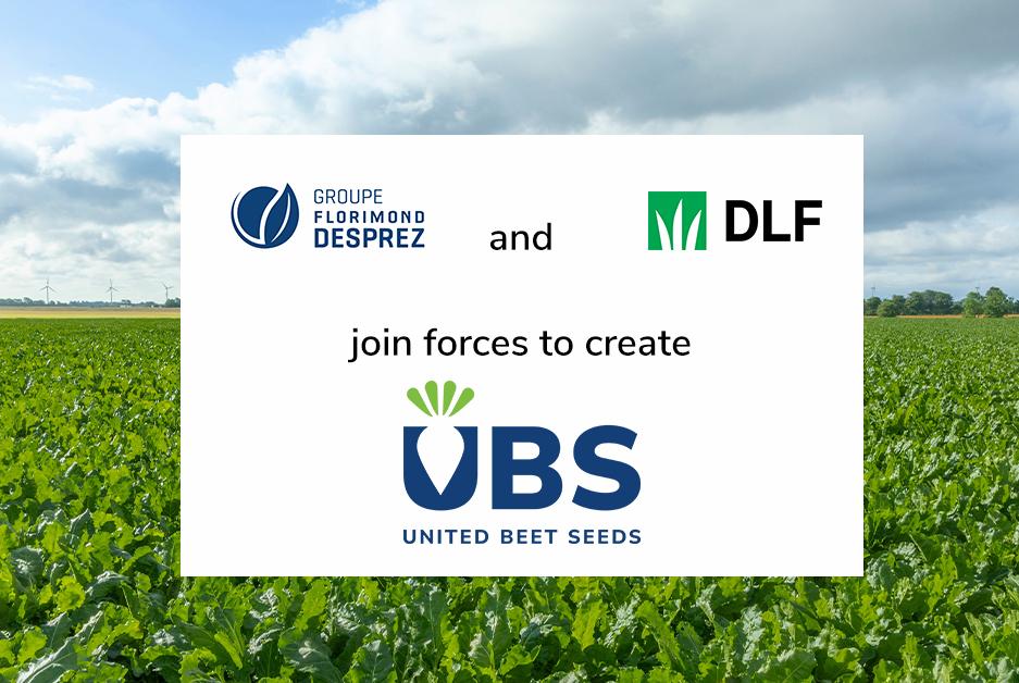  DLF Seeds A/S and Groupe Florimond Desprez  join forces to create United Beet Seeds