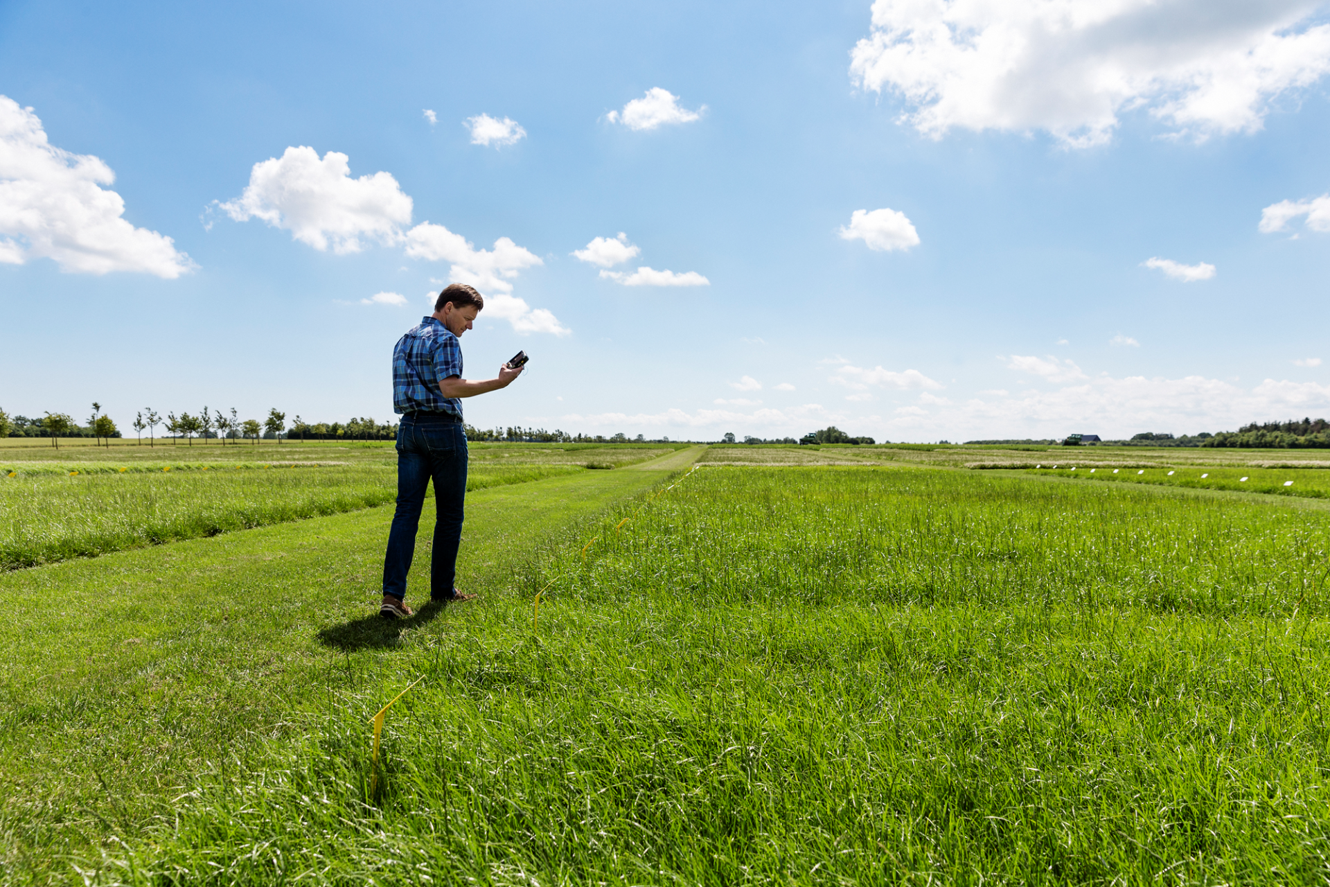 A new generation of forage performance