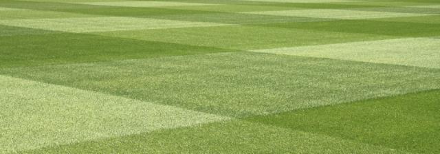 Green and resilient field of 4turf grass.