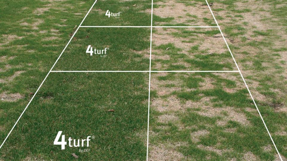 4turf - a green, strong and resiliant turf