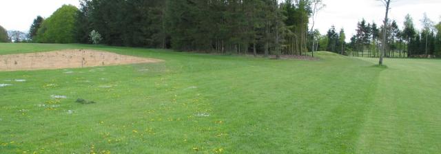 Lawn that has maintained its green colour all year due to Microclover seeds.