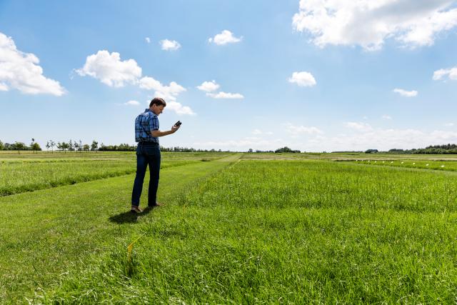 A new generation of forage performance