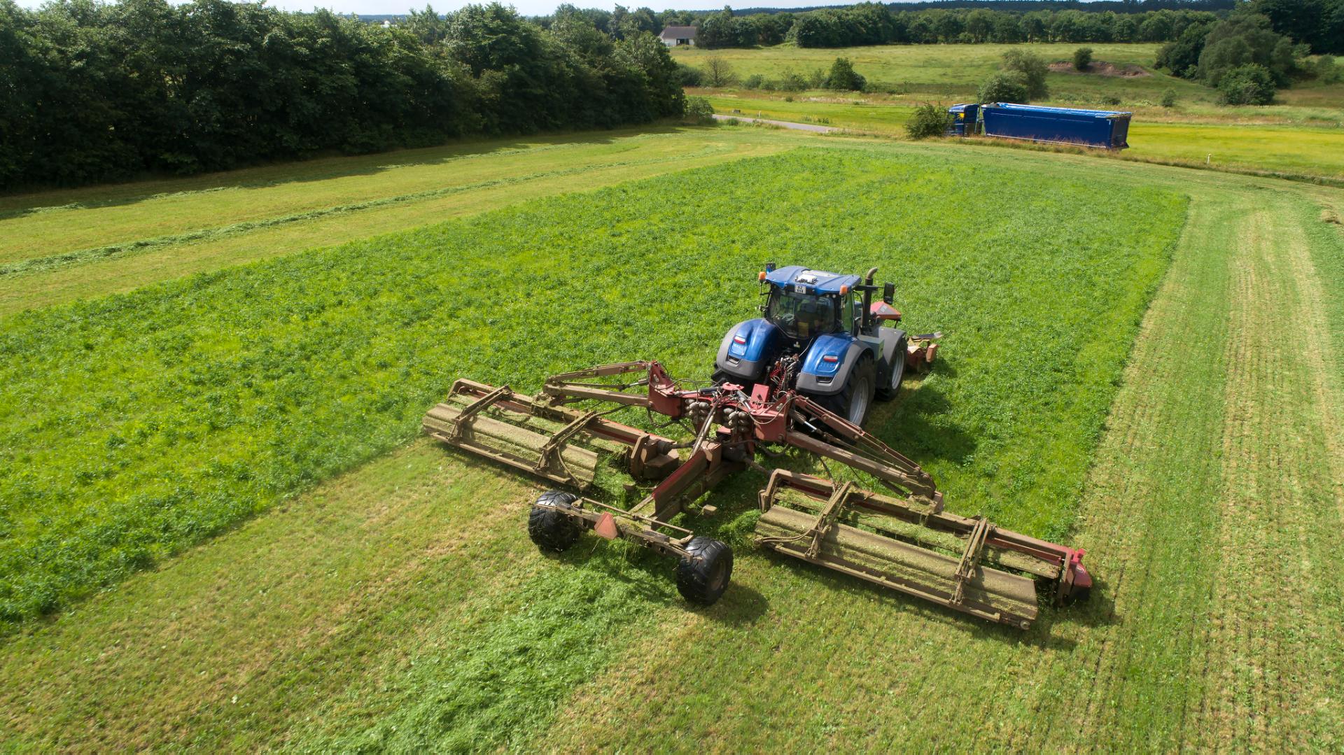 Forages Examples Alfalfa: Versatile Forage Crop