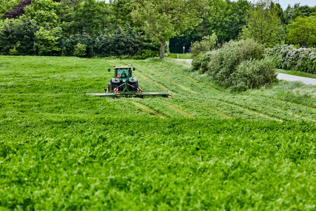 Tractor harvesting a field of Alfalfa crops.