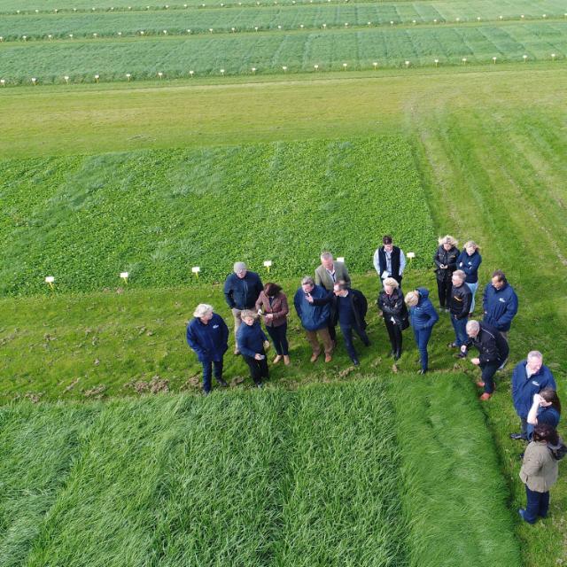 Eighteen men and women looking at grass trials