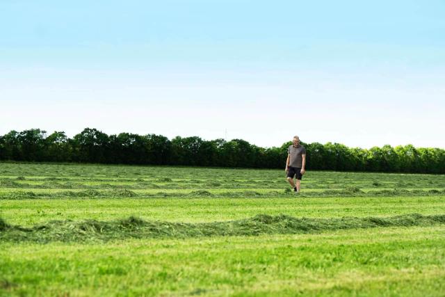 Man walking on grass field